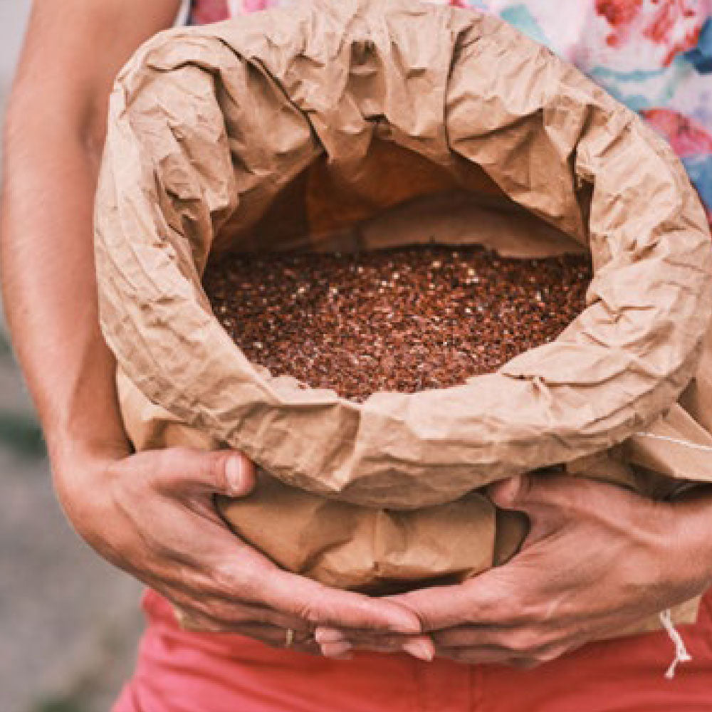 Bio Leinsamenschrot, Leinsamenpresskuchen, für Hunde, für Pferde, Bio Leinöl aus Österreich, frischgepresst, kaltgepresst, Bio Leinsamen, Bio Leinsamenöl, Biohof Staller im Feld