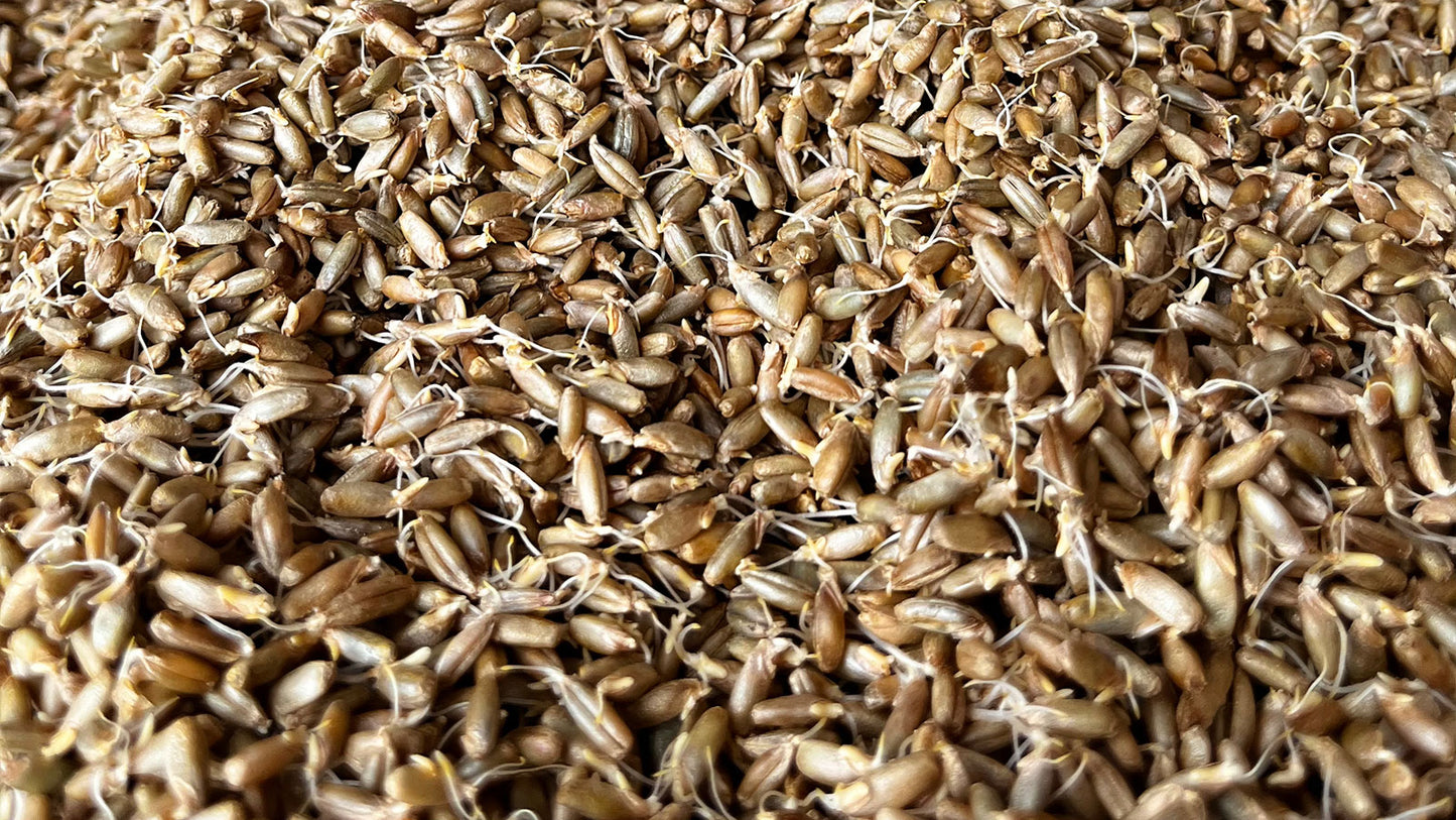 Bio-Sojasauce