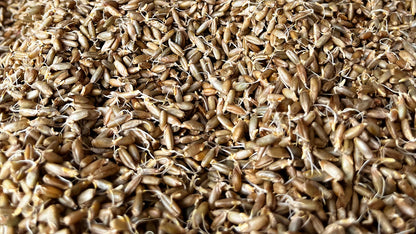 Bio-Sojasauce