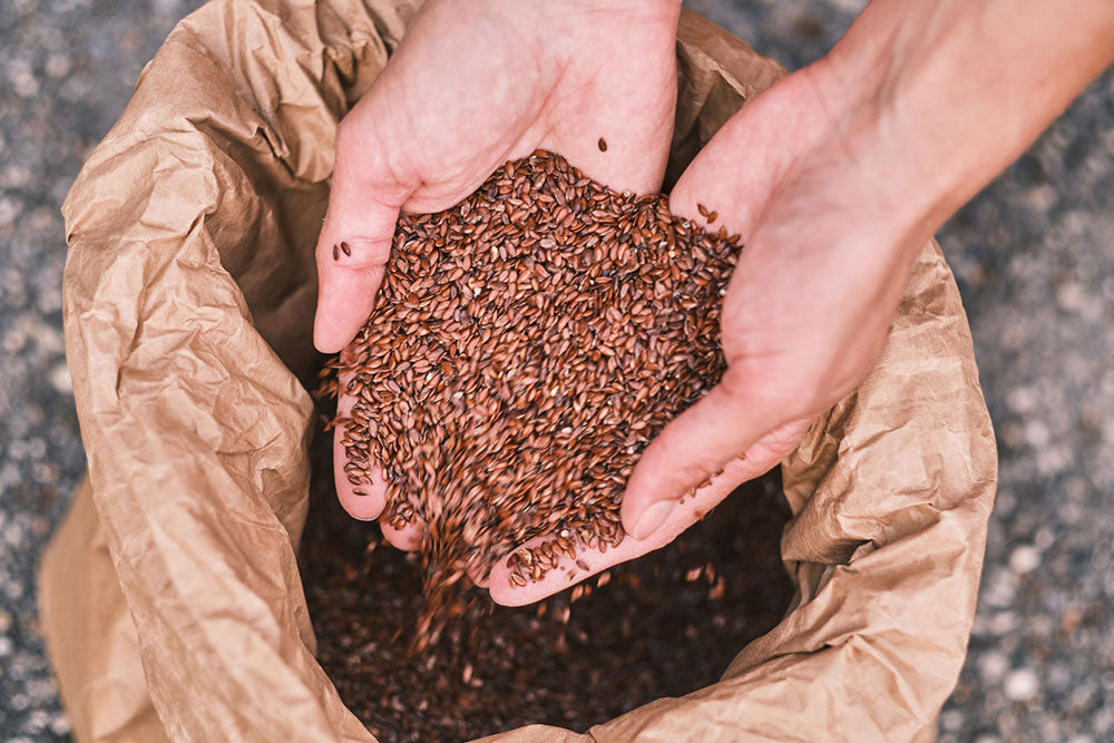 Bio Leinsamenschrot, Leinsamenpresskuchen, für Hunde, für Pferde, Bio Leinöl aus Österreich, frischgepresst, kaltgepresst, Bio Leinsamen, Bio Leinsamenöl, Biohof Staller im Feld