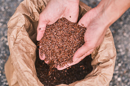 Bio Leinsamenschrot, Leinsamenpresskuchen, für Hunde, für Pferde, Bio Leinöl aus Österreich, frischgepresst, kaltgepresst, Bio Leinsamen, Bio Leinsamenöl, Biohof Staller im Feld