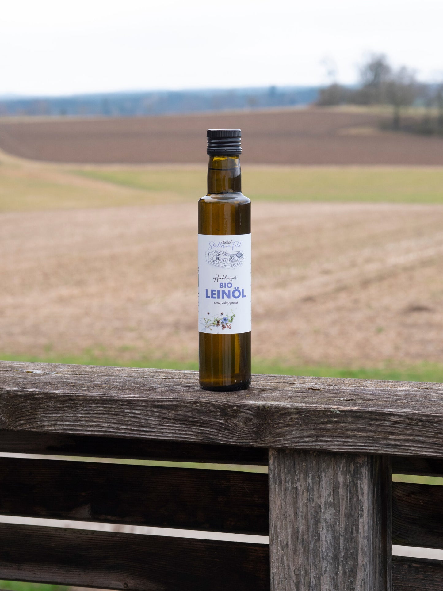 Bio Leinöl aus Österreich, frischgepresst, kaltgepresst, Biohof Staller im Feld