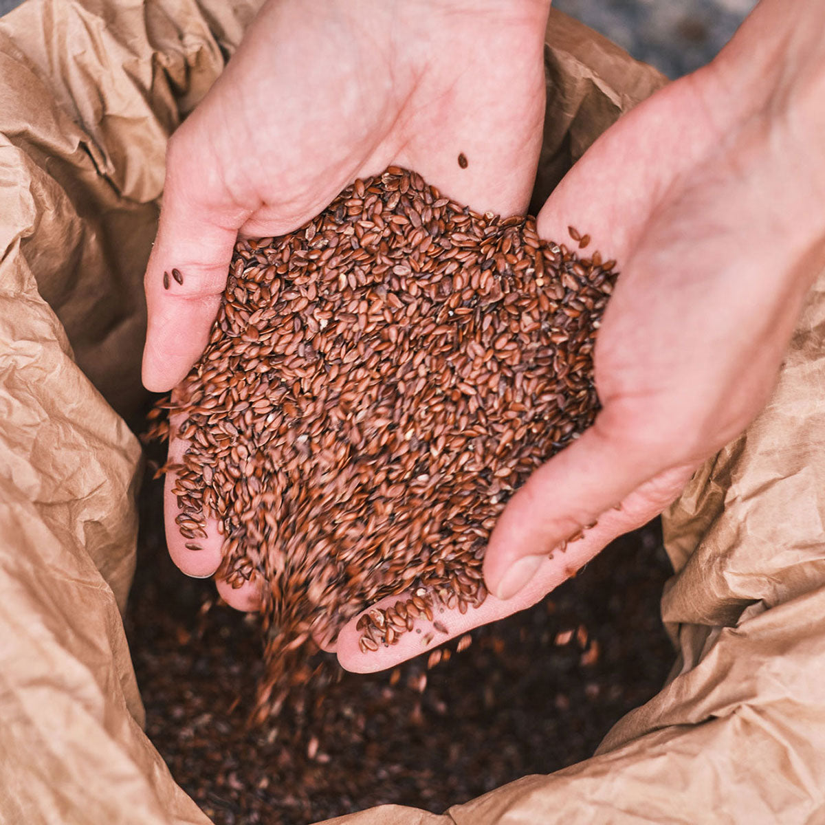 Bio Leinsamenschrot, Leinsamenpresskuchen, für Hunde, für Pferde, Bio Leinöl aus Österreich, frischgepresst, kaltgepresst, Bio Leinsamen, Bio Leinsamenöl, Biohof Staller im Feld